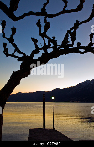 Svizzera Canton Ticino, Lago Maggiore, Ascona Foto Stock