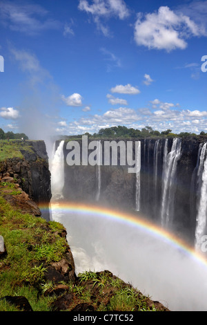 Africa, Zimbabwe Victoria Falls sul fiume Zambesi Foto Stock