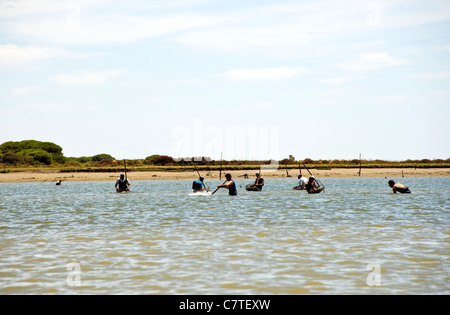 Guscio di collezionisti di pesce lavorando su Ria de Rompido a El Terron, cartaya Spagna Foto Stock