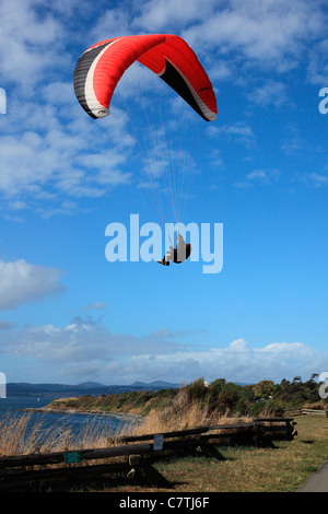 L'uomo parapendio su cliff dall'oceano Foto Stock