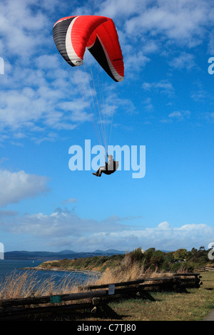 L'uomo parapendio su cliff dall'oceano Foto Stock