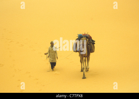 Africa, Algeria, il deserto del Sahara,tuareg con dromedario Foto Stock