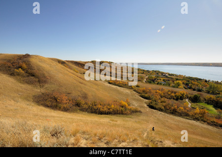 Una vista sulla cima di una collina sul lato della valle principale che corre attraverso Saskatchewan, Canada. Foto Stock