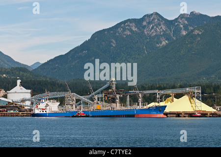 Un cargo, 'asiatici' vento, dock a Vancouver pontili carichi alla rinfusa terminale, North Vancouver, Canada. Foto Stock
