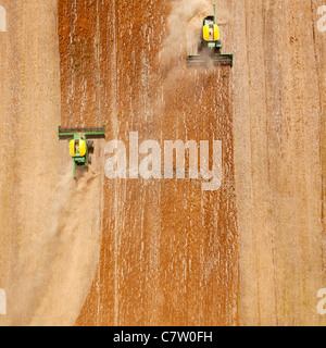 Due dispositivi di prelievo combinando un campo di lenticchie, visto dal di sopra Foto Stock