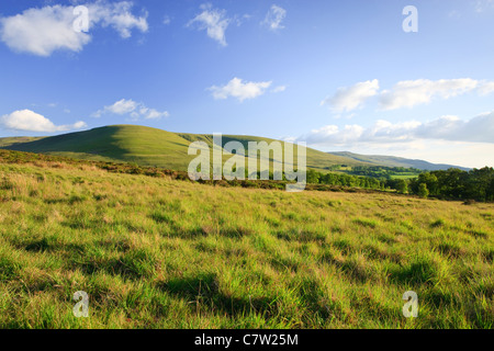 Paesaggio rurale Llanddeusant (Y Mynydd Du) Montagna Nera Parco Nazionale di Brecon Beacons Carmarthenshire Galles Foto Stock