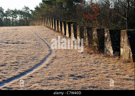 Le difese di invasione dalla seconda guerra mondiale la Svizzera. Lungo una linea difensiva che gli Svizzeri chiamano la "Toblerones' Foto Stock