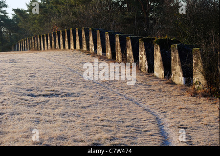 Le difese di invasione dalla seconda guerra mondiale la Svizzera. Lungo una linea difensiva che gli Svizzeri chiamano la "Toblerones' Foto Stock