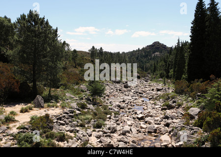 Un roccioso e quasi il letto asciutto del fiume nel Peneda-Geres National Park, Minho, Portogallo. Foto Stock