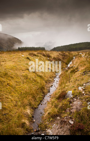 Irlanda, Co Wicklow, Wicklow Gap, Avonmore fiume che scorre dalle montagne fino a Glendalough Foto Stock