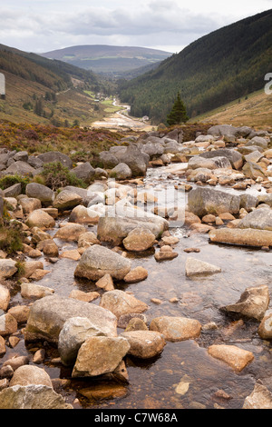 Irlanda, Co Wicklow, Wicklow Gap, Avonmore fiume che scorre dalle montagne fino a Glendalough Foto Stock