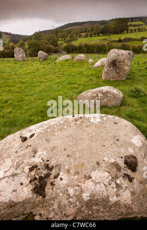 Irlanda, Co Wicklow, Hollywood, del pifferaio pietre, pre-historic stone circle Foto Stock