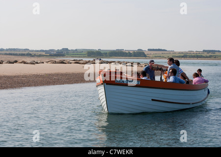 Turisti e gitanti andando in barca per vedere le guarnizioni al punto Blakeney, Norfolk Foto Stock