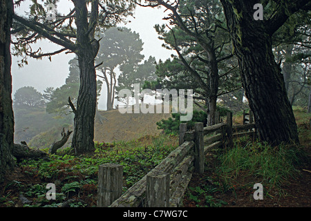 Russo stato Gulch promontori Park, California Foto Stock