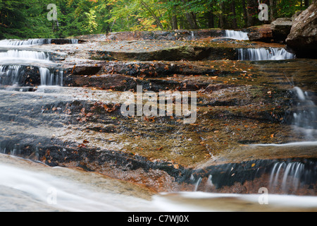 Bartlett foresta sperimentale - Albany Brook durante i mesi di autunno in Bartlett, New Hampshire USA. Foto Stock