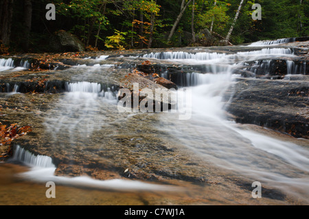 Bartlett foresta sperimentale - Albany Brook durante i mesi di autunno in Bartlett, New Hampshire USA. Foto Stock