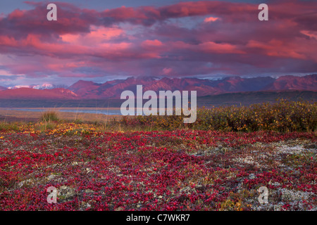 Mt. McKinley o Denali, Parco Nazionale di Denali, Alaska. Foto Stock