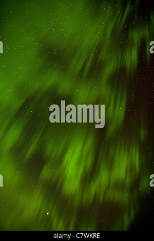 Aurora Boreale, Parco Nazionale di Denali, Alaska. Foto Stock