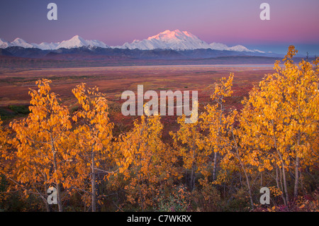 Mt McKinley, anche chiamato Denali, Parco Nazionale di Denali, Alaska. Foto Stock