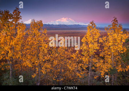 Mt McKinley, anche chiamato Denali, Parco Nazionale di Denali, Alaska. Foto Stock