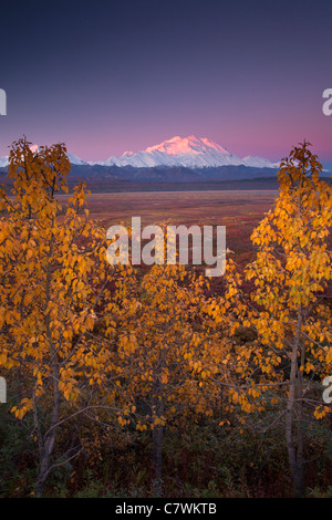 Mt McKinley, anche chiamato Denali, Parco Nazionale di Denali, Alaska. Foto Stock