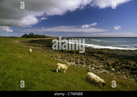 Il castello di Dunstanburgh; Northumberland, Regno Unito Foto Stock