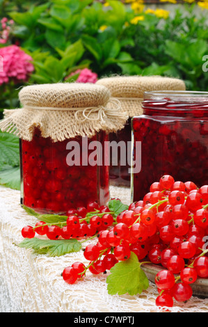 Vasi di in casa Red confettura di ribes con frutta fresca - outdoor Foto Stock