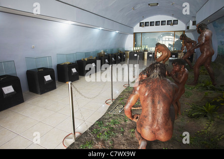 Museo dei Fossili a Java Man Site (Sito Patrimonio Mondiale dell'UNESCO), Sangiran, Solo, Java, Indonesia Foto Stock