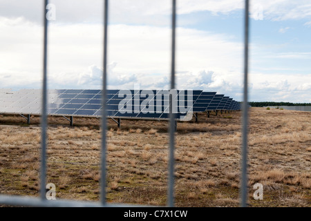 Il campo fotovoltaico sul sito di un ex militare di addestramento vicino Lieberose in Germania Est Foto Stock