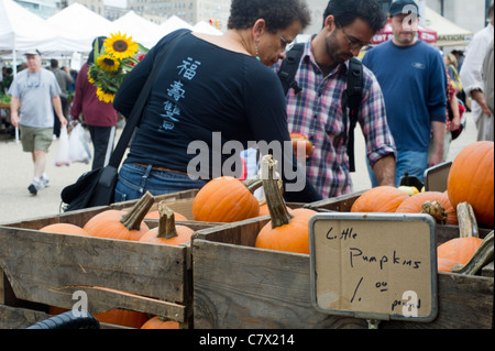 Zucche per la vendita nel Grand Army Plaza Greenmarket di Brooklyn a New York Foto Stock