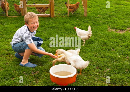 Un ragazzo goslings alimentazione a Hazel Brow fattoria nel villaggio di basso rango in Swaledale nel North Yorkshire , Inghilterra , Inghilterra , Regno Unito Foto Stock