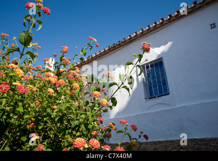 Finestra di casa a Sanlúcar del Guadiana in Andalusia, Spagna Foto Stock