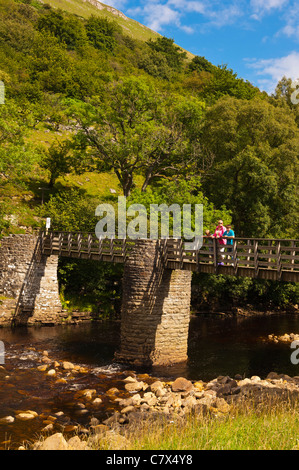 Rampe Holme ponte sopra il fiume Swale a Muker in Swaledale nel North Yorkshire , Inghilterra , Inghilterra , Regno Unito Foto Stock