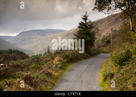 Irlanda, Co Wicklow, Glenmalure, la strada verso la valle Foto Stock