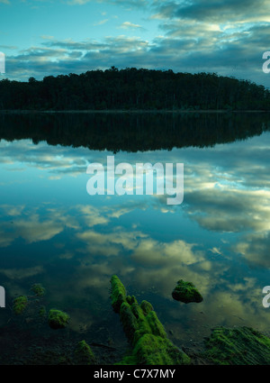 Lago Wallaga riflessioni, Wallaga Lake National Park, NSW Australia Foto Stock