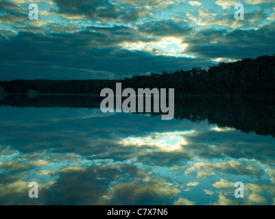 Lago Wallaga riflessioni, Wallaga Lake National Park, NSW Australia Foto Stock