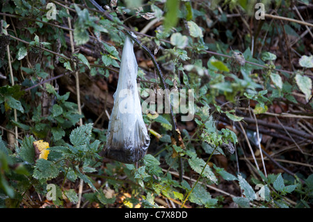 Plastica scartati dog poo scoop borsa nella boccola Foto Stock