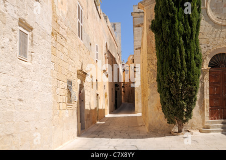 Strada stretta con piccola cappella e cipresso in Mdina, Malta. Foto Stock