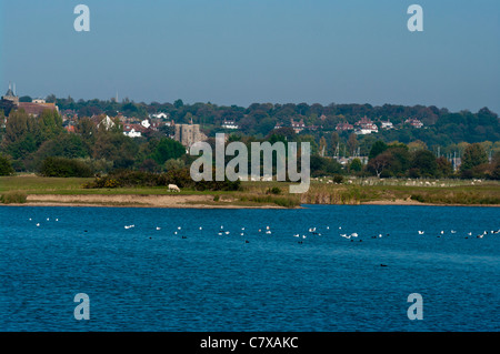 Vista sul Castello di acqua del porto di segale Riserva Naturale Bird Sanctuary East Sussex England Foto Stock