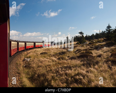 A scartamento ridotto Harz ferrovia di montagna scendendo dalla Brocken, settentrionale la vetta più alta della Germania Foto Stock