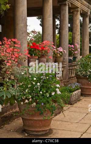 In terracotta e pietra vasi pieni di piante estive sulla terrazza a Kiftsgate Court Gardens, Chipping Campden, Cotswolds, Inghilterra Foto Stock