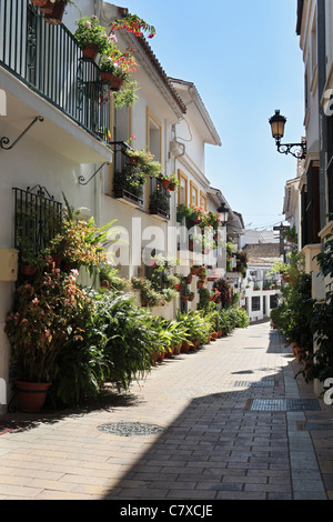 Flower adornato case bianche sulla Maestra Ayala, Benalmadena Pueblo, vicino a Malaga, Spagna Foto Stock