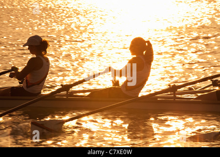 Canada,Ontario,Saint Catharines, Royal Canadian Henley Regatta, atleta vogatori Foto Stock