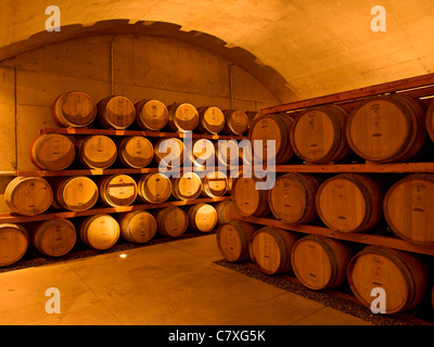 Canada,Ontario,Niagara sul lago, botti da vino in cantina a Jackson Triggs cantina Foto Stock