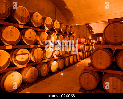 Canada,Ontario,Niagara sul lago, botti da vino in cantina a Jackson Triggs cantina Foto Stock