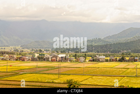 Vista sulla campagna in Giappone, che mostra i campi di riso in autunno / caduta, con montagne (Alpi Giapponesi) in background. Foto Stock