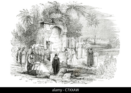 Tribù beduina deserto e territorio di pascolo Foto Stock