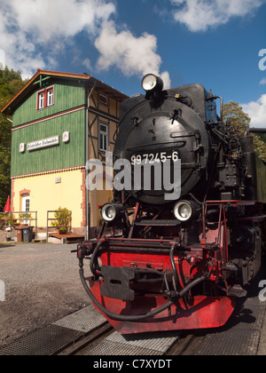 Motore a vapore sul Harz linea a scartamento ridotto in Germania di fronte all'edificio della stazione a Eisfelder Talmühle. Foto Stock