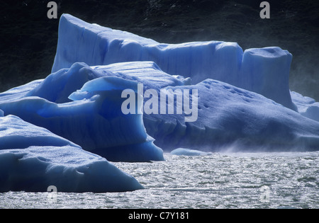 Sud America, Cile, Parco Nazionale Torres del Paine, lago ghiacciaio Grey Foto Stock