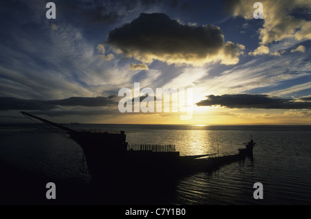 Sud America, Cile, stretto di Magellano costa, Punta Arenas Foto Stock